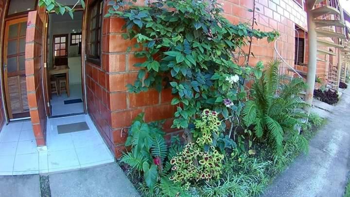 Apt Studio Maranduba Ville 1 Apartment Ubatuba Luaran gambar